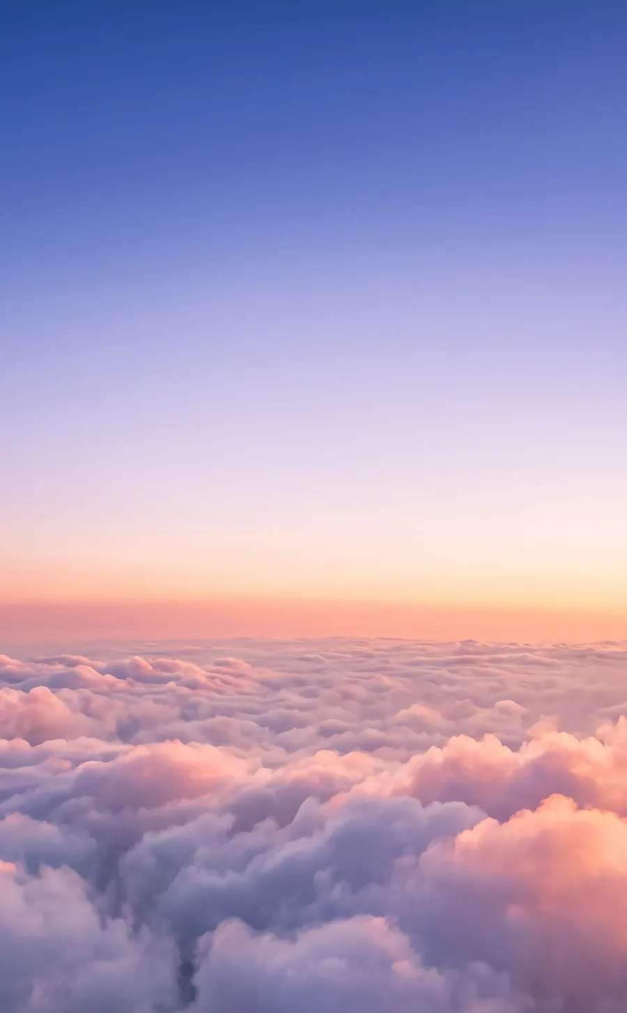 sky-tall.webp